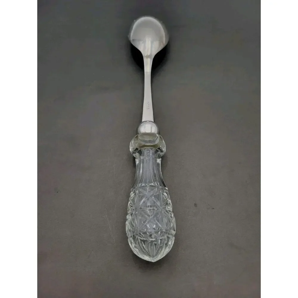 English Victorian 19th Century Silver Serving Spoon Crystal EPNS